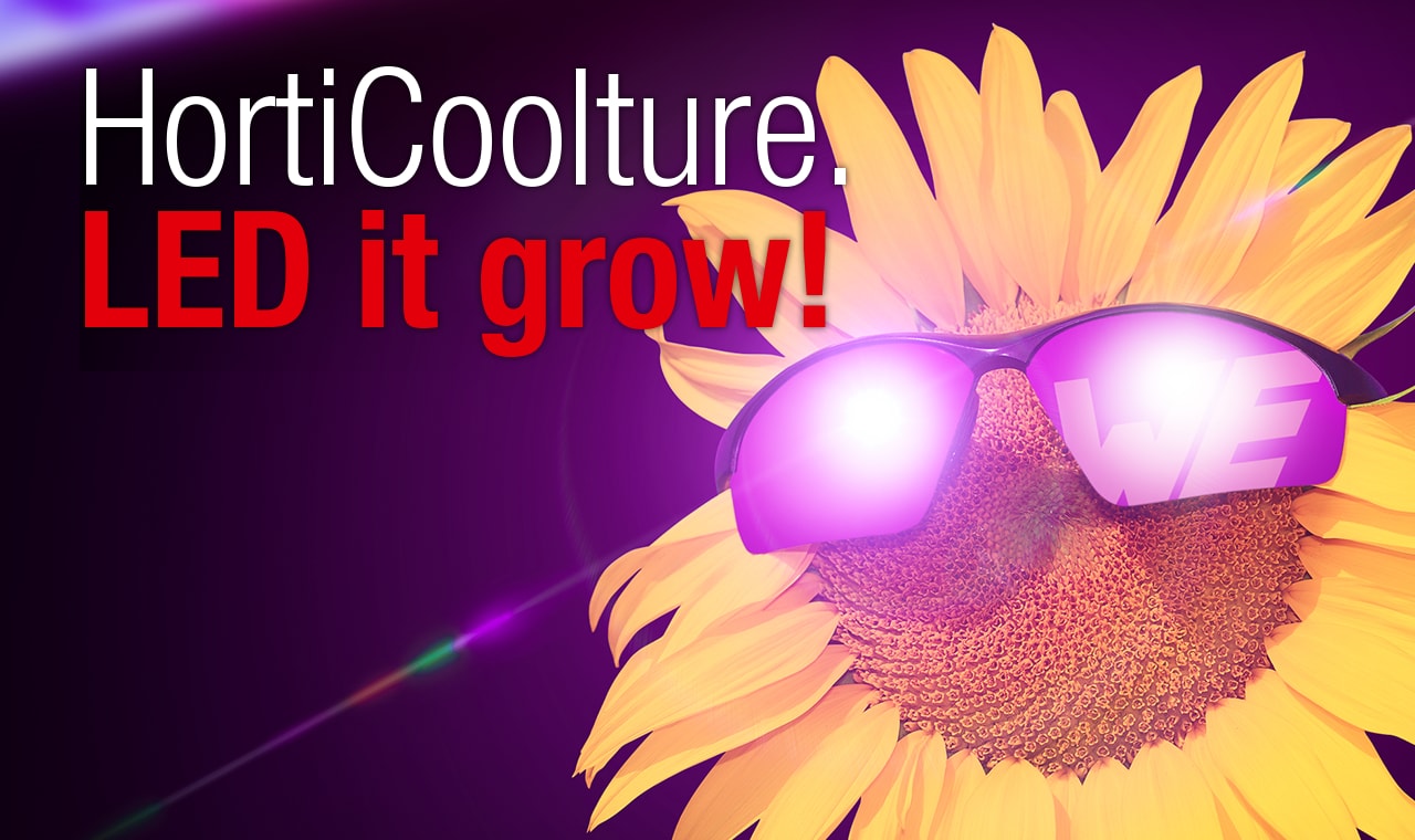 Horticulture_Youtube_1280x760 Horticulture_Youtube_1280x760